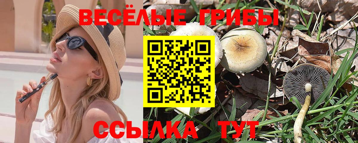 Галлюциногенные грибы мицелий Богородицк