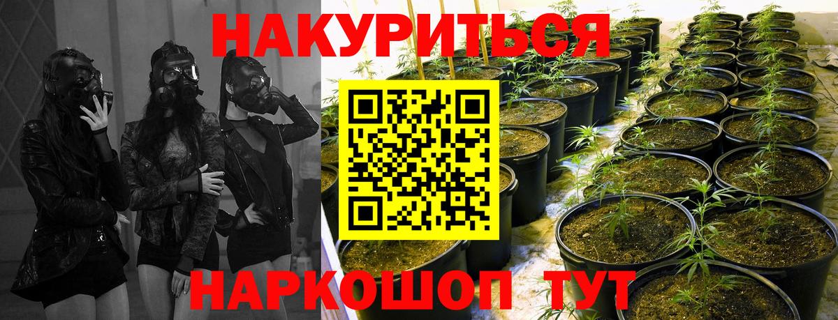 Конопля индика Богородицк